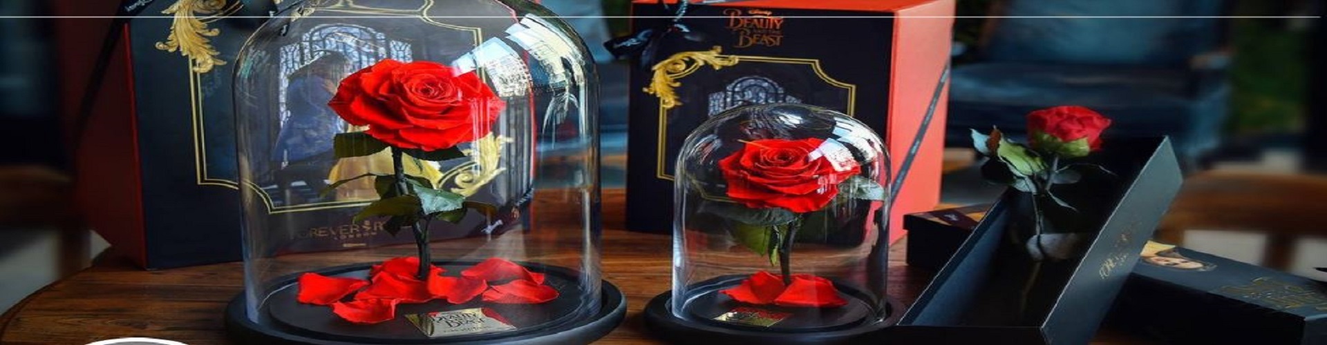 two red roses on a glass cover