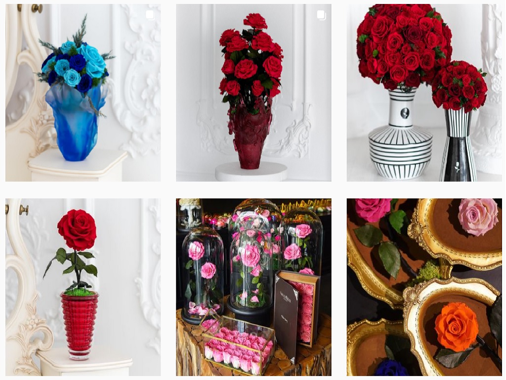 6 طرق مختلفة لتقديم الورود في فوريفر روز بوكس بارك